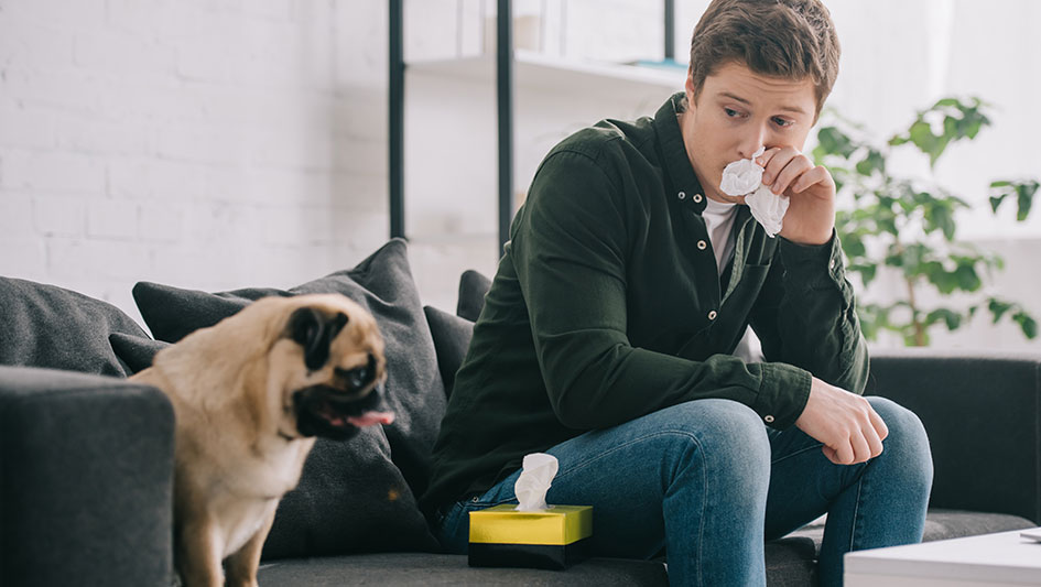 Purchasing an air purifier is one of the best methods to boost your residence’s indoor air quality. Find out more about the three top options. 